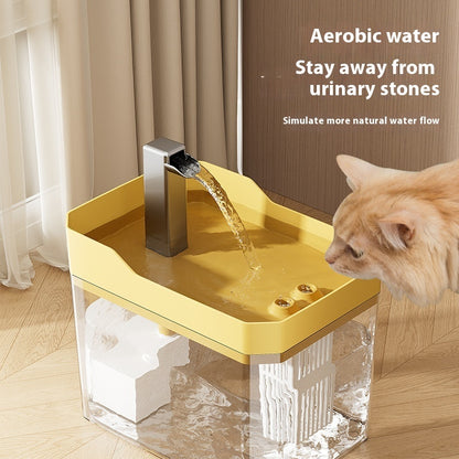 Pet Water Fountain with Filtered Circulating Flow