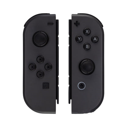 NS Dual Gamepad with Hand Strap