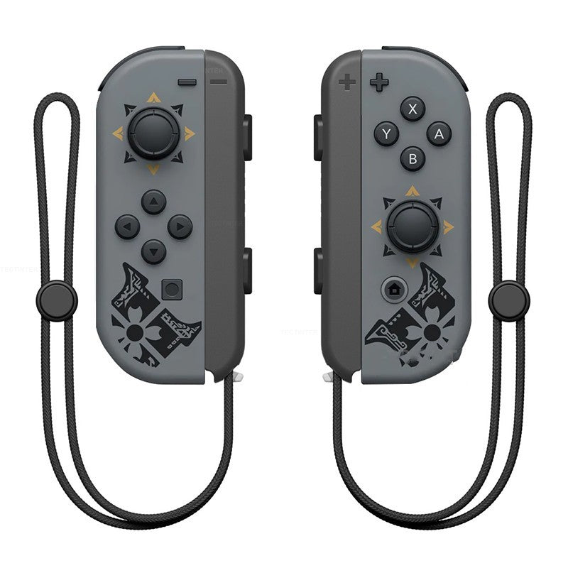 NS Dual Gamepad with Hand Strap